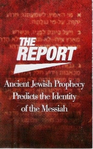 The Report (softcover)