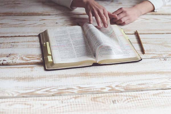 Bibles