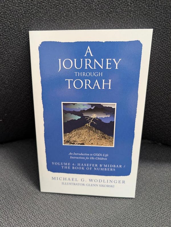 A Journey Through Torah Vol. 4